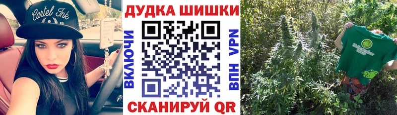 Купить где  Давлеканово  Бошки Шишки ГИДРОПОН 